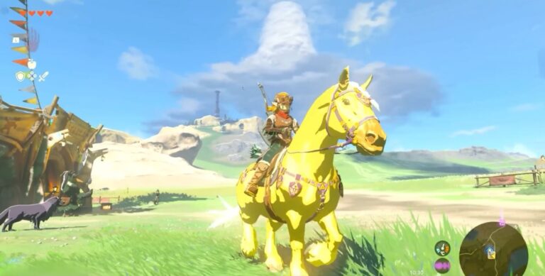 Zelda Tranen van het Koninkrijk